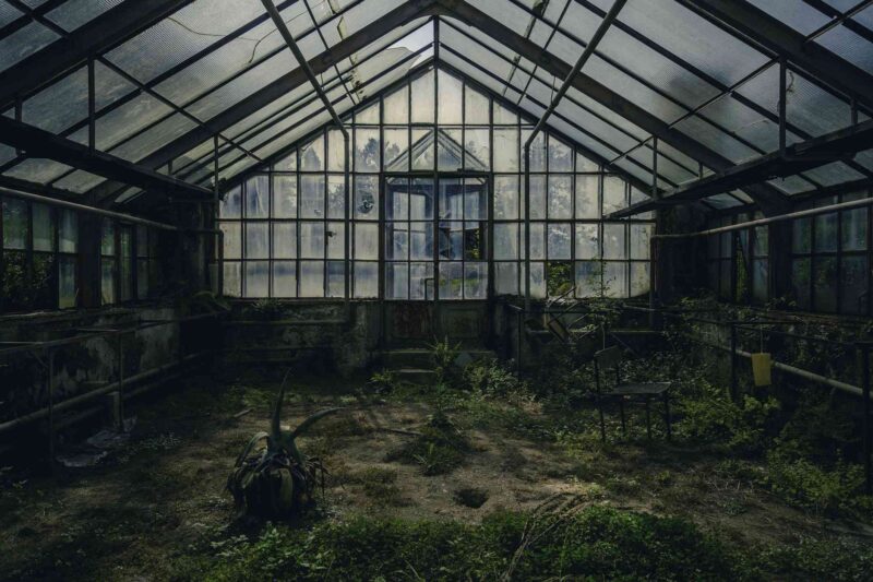 Old abandoned greenhouse with overgrown plants