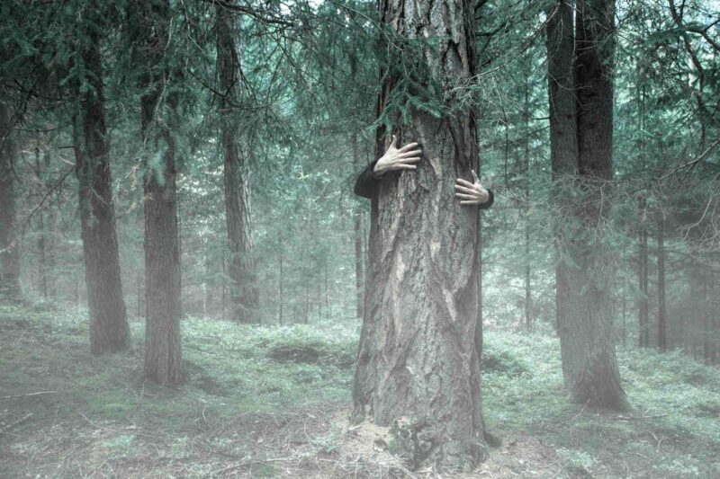 Hands wrap around a tree trunk from behind in the woods