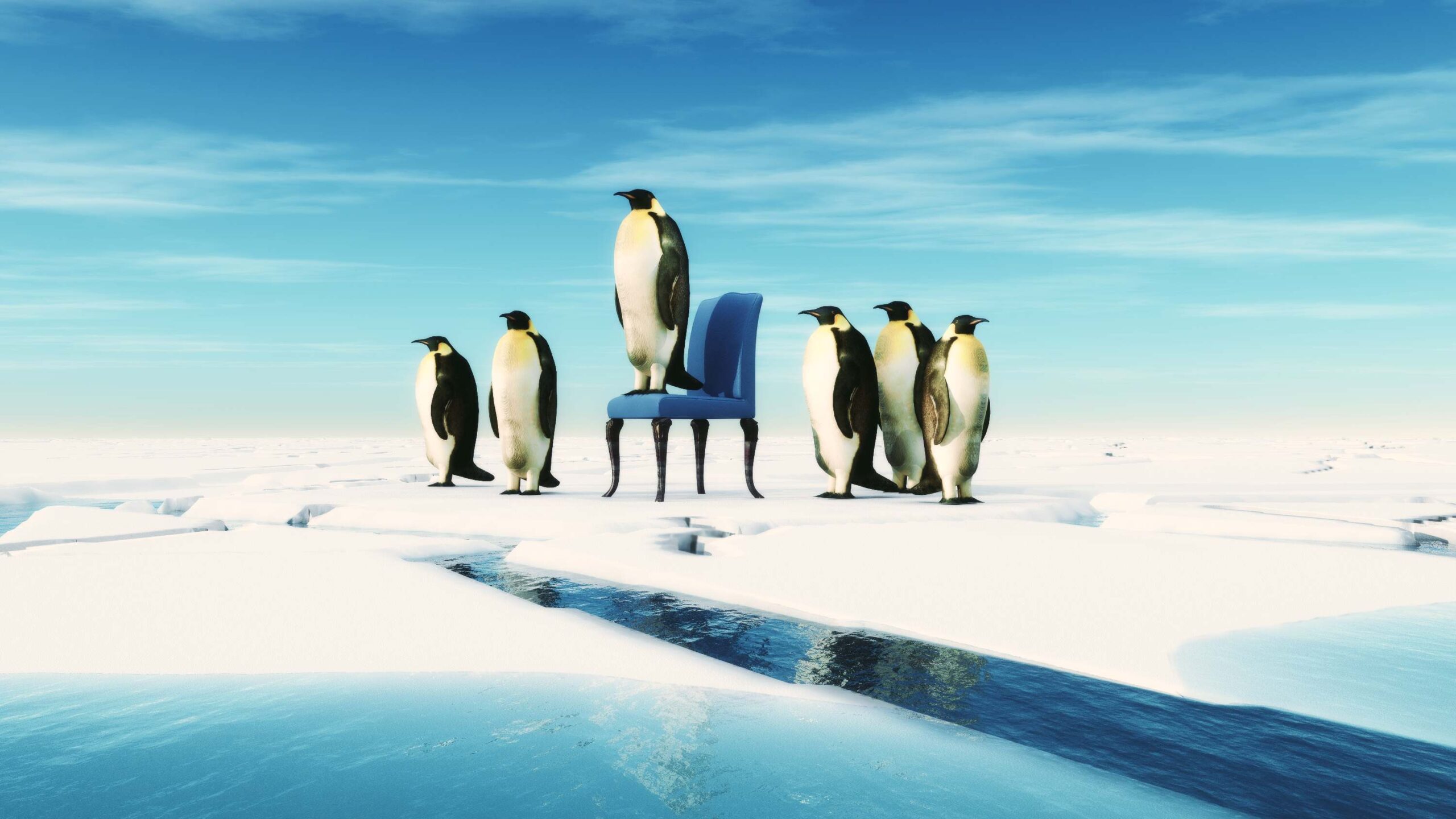Penguin leader sits on a chair in the snow with his team. Team concept. This is a 3d render illustration