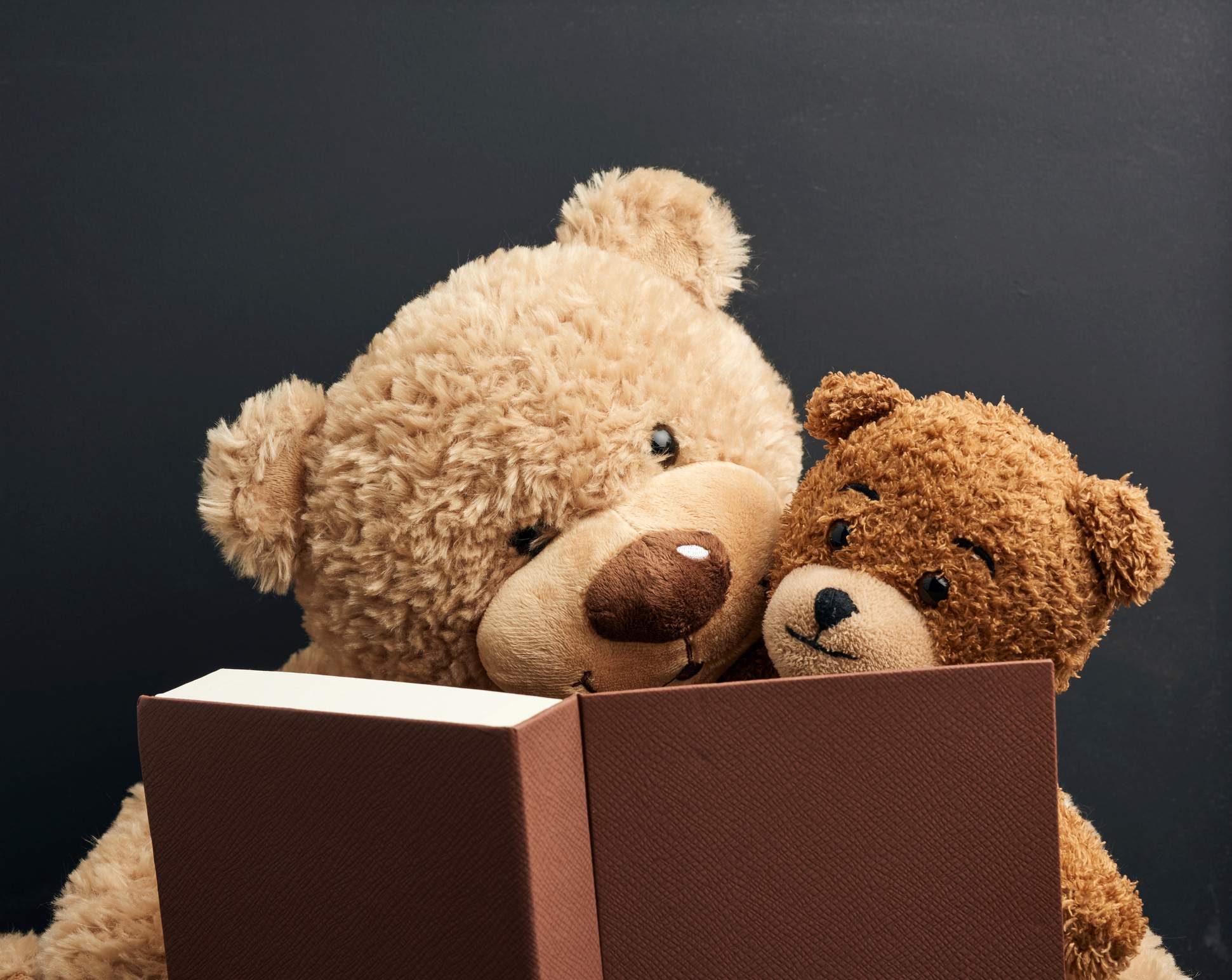 two brown teddy bears are sitting with a book on a black background, concept of family togetherness and leisure