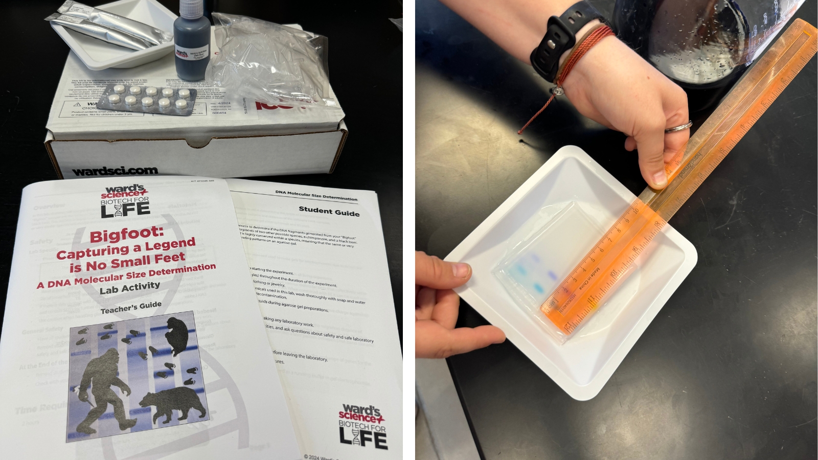 Your Students will Feel Like Real Scientists with This Biotech for Life Science Kit Images of the Ward's Biotech for Life Bigfoot kit