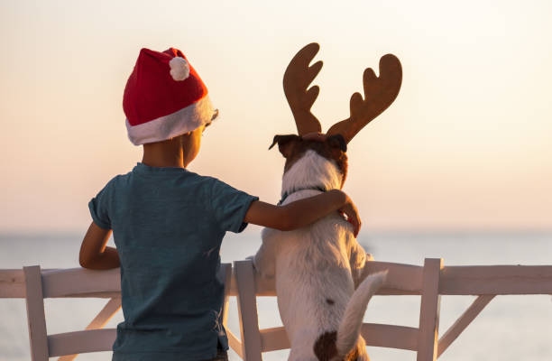 A boy wearing a Santa hat and a dog wearing antlers looking out on the ocean