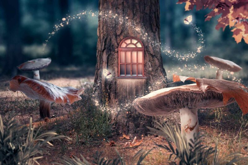 Fantasy enchanted fairy tale forest with giant mushrooms, magical elf or gnome house with shining window in pine tree hollow and flying fairytale magic butterflies leaving path with luminous sparkles