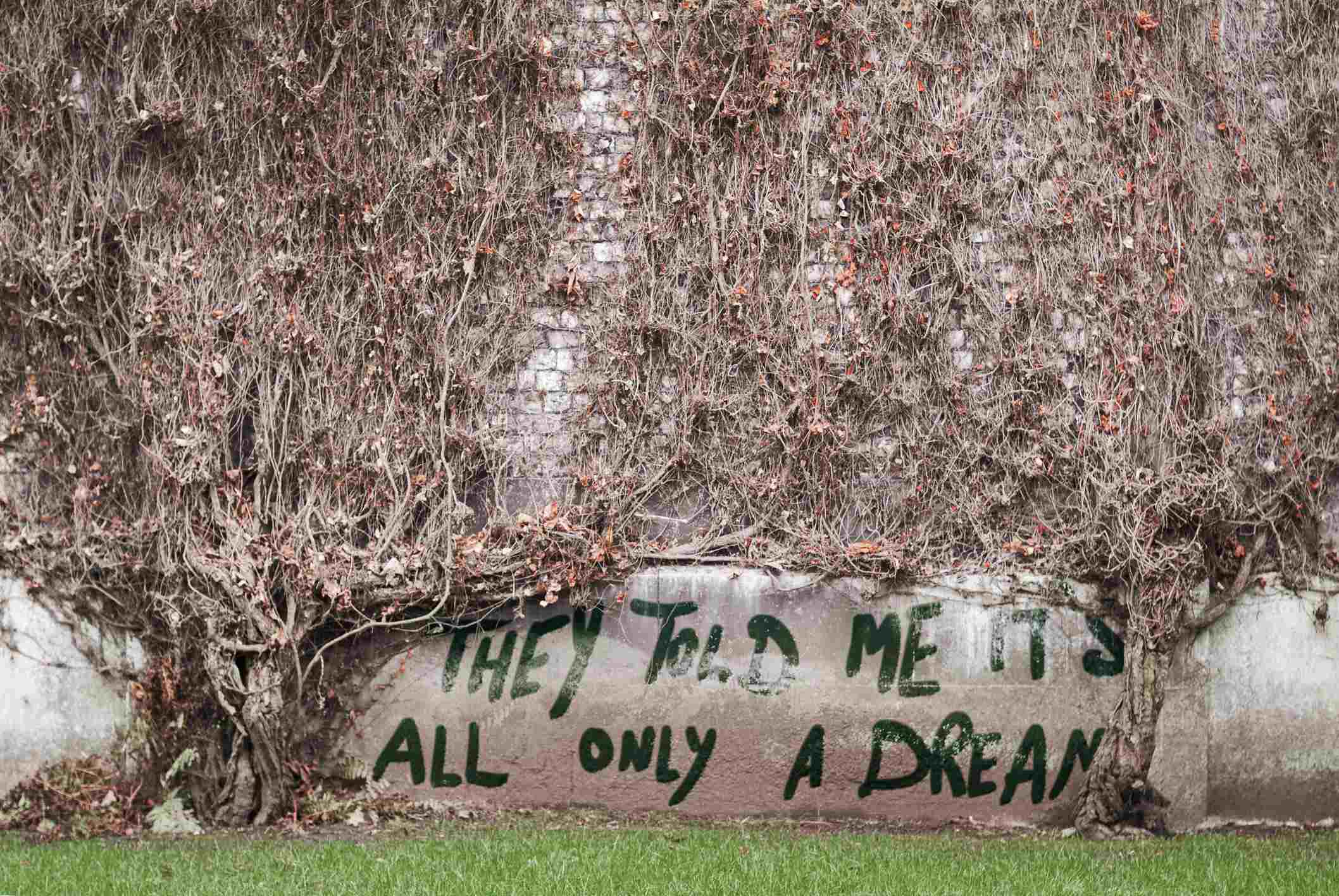 Two dead or dried plants merge together on a wall; a graffiti reads "They told me it's all only a dream".  