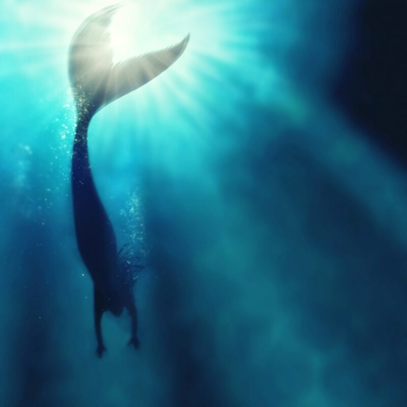 A silhouette shot of a mermaid swimming in solitude in the deep blue sea.