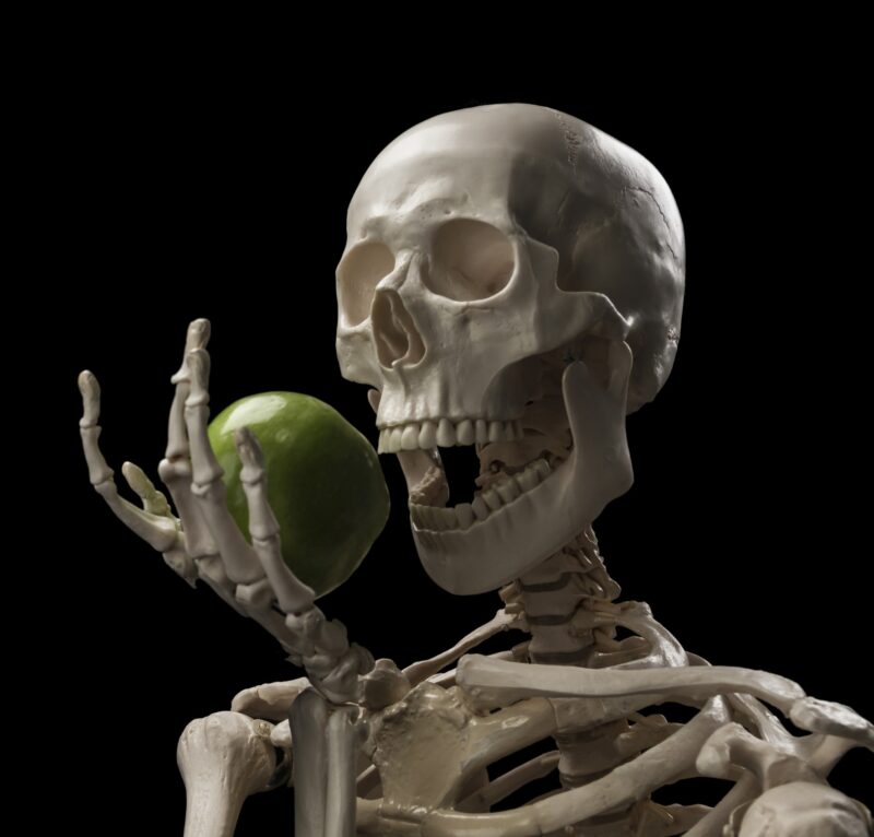 Skeleton eating green apple