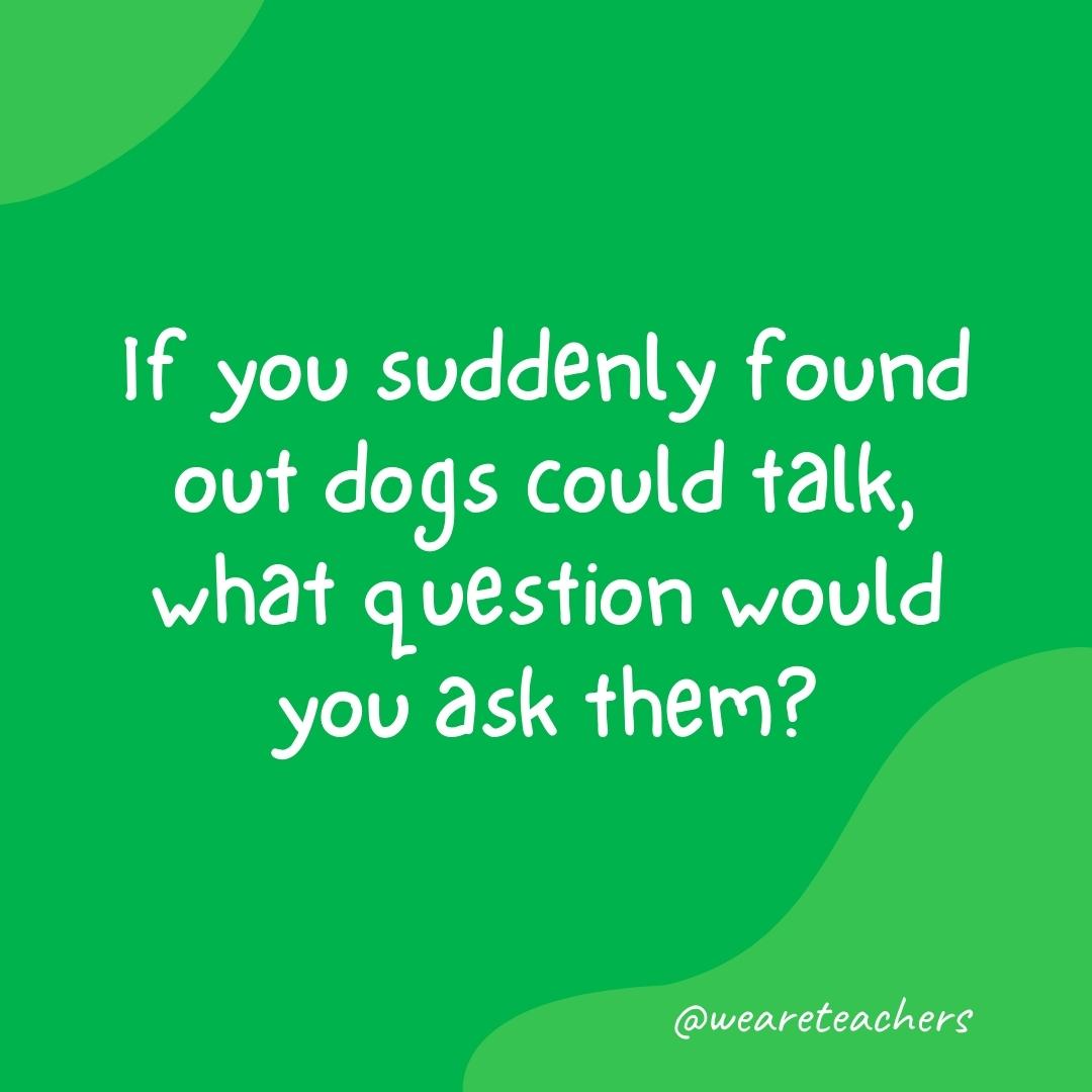 Morning meeting questions: If you suddenly found out dogs could talk, what question would you ask them?