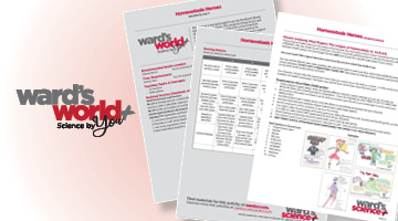 This poster activity turns your students into superheroes!