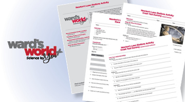14 activities to learn about inertia. Perfect for small groups!